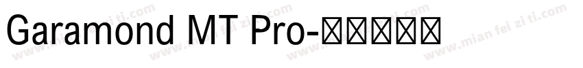 Garamond MT Pro字体转换